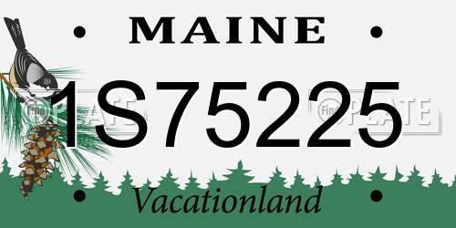 1S75225 Maine License Plate