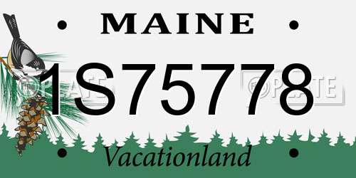 1S75778 Maine License Plate