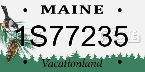 1S77235 Maine License Plate