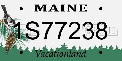 1S77238 Maine License Plate
