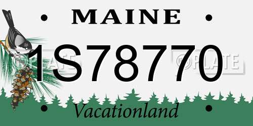 1S78770 Maine License Plate