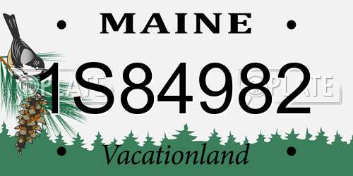 1S84982 Maine License Plate
