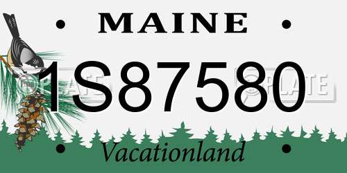 1S87580 Maine License Plate