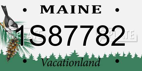 1S87782 Maine License Plate
