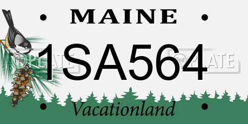 1SA564 Maine License Plate