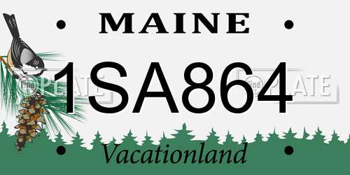 1SA864 Maine License Plate