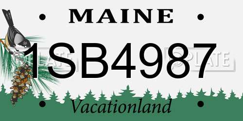 1SB4987 Maine License Plate