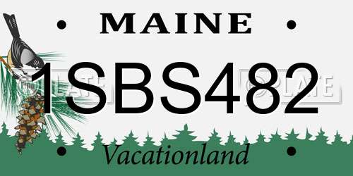 1SBS482 Maine License Plate