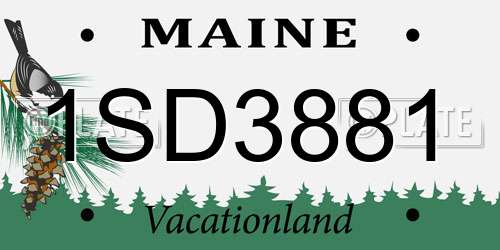 1SD3881 Maine License Plate