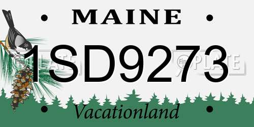 1SD9273 Maine License Plate