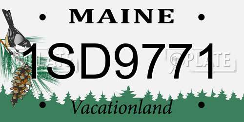 1SD9771 Maine License Plate
