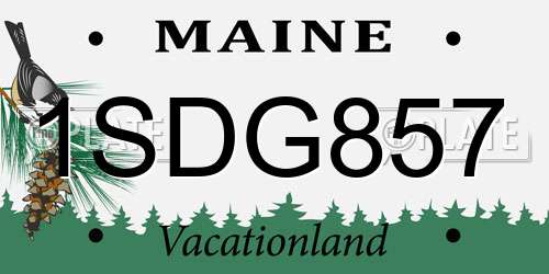 1SDG857 Maine License Plate