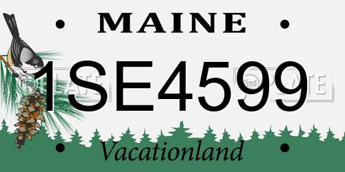 1SE4599 Maine License Plate