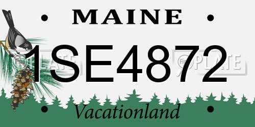 1SE4872 Maine License Plate