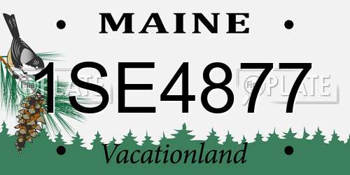 1SE4877 Maine License Plate