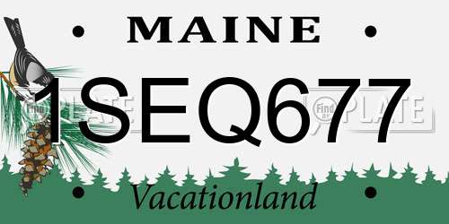 1SEQ677 Maine License Plate