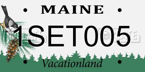 1SET005 Maine License Plate
