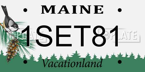 1SET81 Maine License Plate