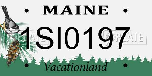 1SI0197 Maine License Plate