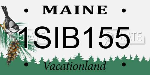 1SIB155 Maine License Plate