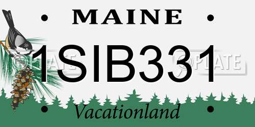 1SIB331 Maine License Plate