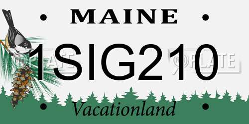 1SIG210 Maine License Plate