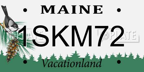 1SKM72 Maine License Plate