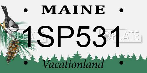 1SP531 Maine License Plate