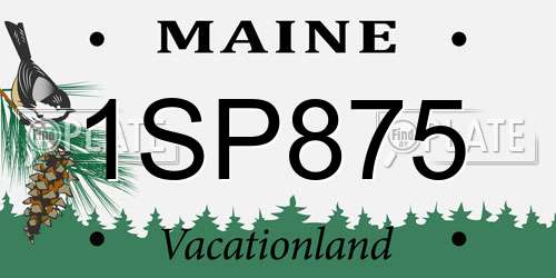1SP875 Maine License Plate