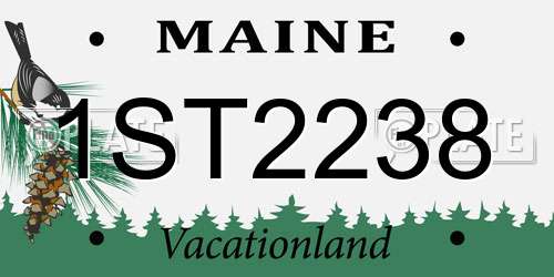 1ST2238 Maine License Plate