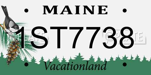1ST7738 Maine License Plate