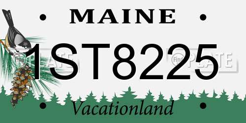 1ST8225 Maine License Plate