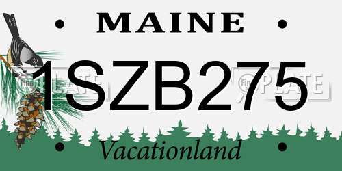 1SZB275 Maine License Plate