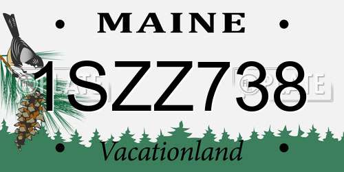 1SZZ738 Maine License Plate