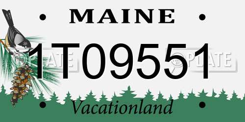 1T09551 Maine License Plate