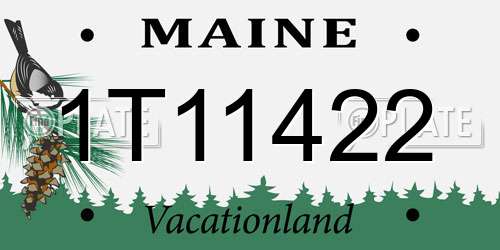 1T11422 Maine License Plate