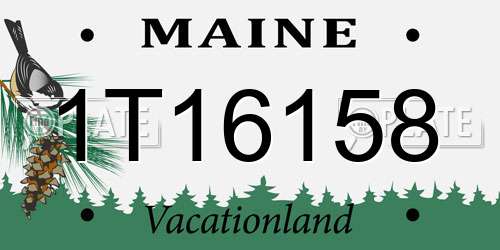 1T16158 Maine License Plate