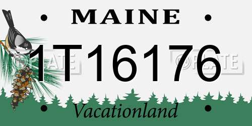 1T16176 Maine License Plate