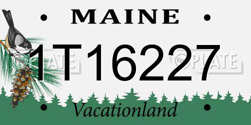 1T16227 Maine License Plate