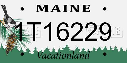 1T16229 Maine License Plate