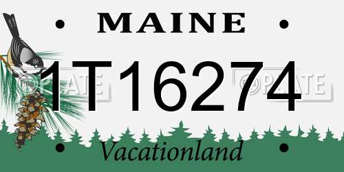 1T16274 Maine License Plate