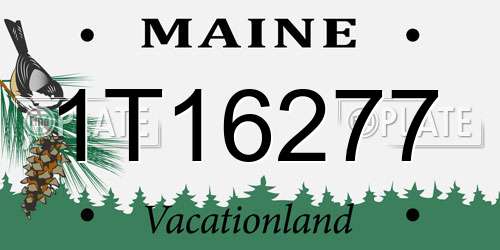 1T16277 Maine License Plate