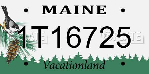 1T16725 Maine License Plate