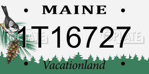 1T16727 Maine License Plate