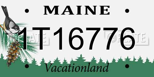 1T16776 Maine License Plate