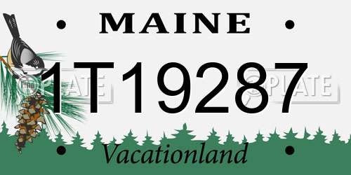 1T19287 Maine License Plate
