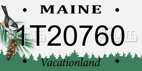 1T20760 Maine License Plate