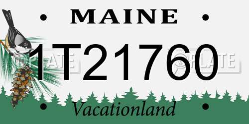 1T21760 Maine License Plate
