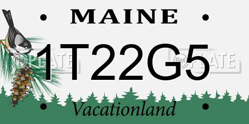 1T22G5 Maine License Plate