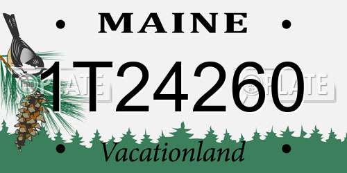 1T24260 Maine License Plate
